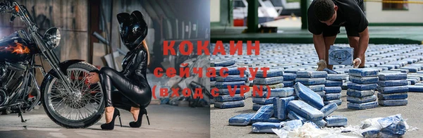 прущие крисы Аркадак