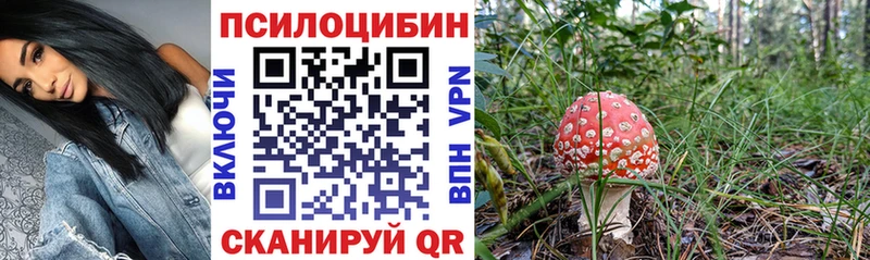 KRAKEN маркетплейс  Чудово  Псилоцибиновые грибы прущие грибы  shop Telegram  цены наркотик 